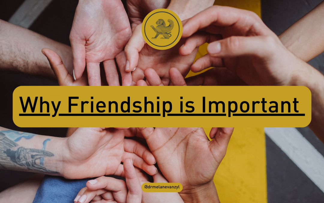Why friendship is important