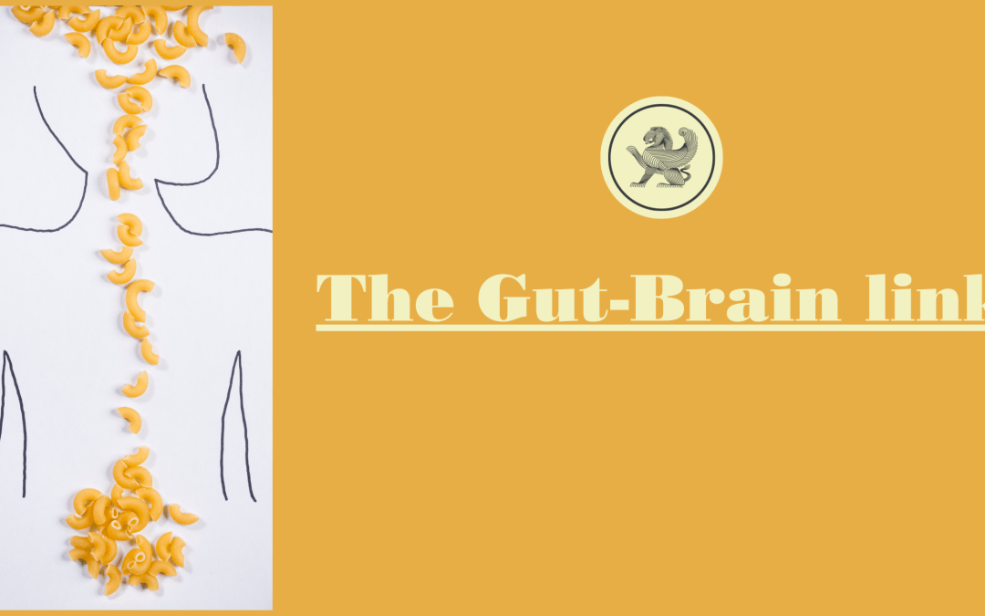 The Gut-Brain Connection