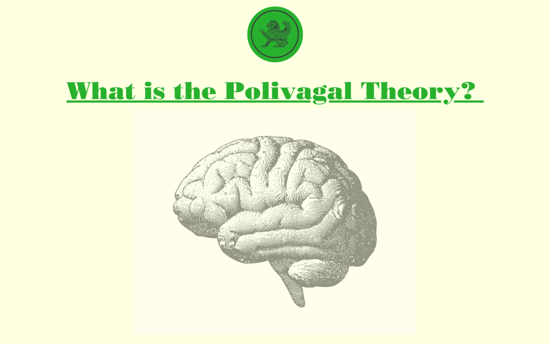 What is the Polyvagal Theory?