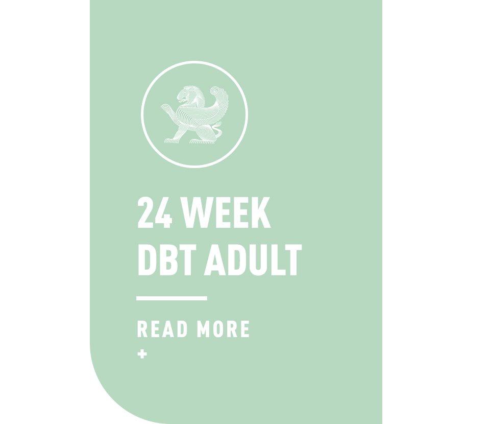 24 week adult dbt