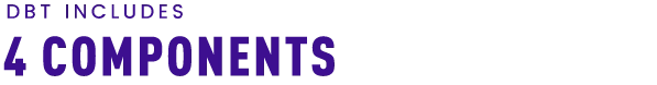 dbt-includes-4-components DBT includes 4 components